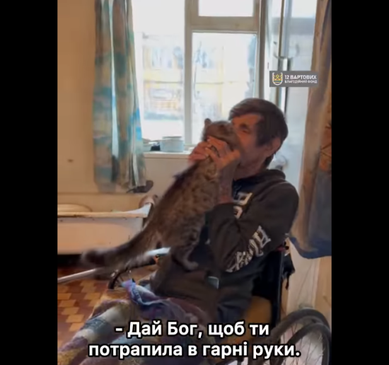 Відмовився евакуюватись без котів: чоловіку на кріслі колісному потрібна допомога