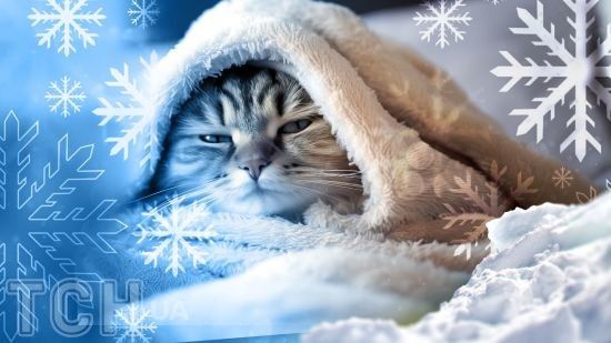 Ні дня без сюрпризів: якою буде погода в Новорічну ніч