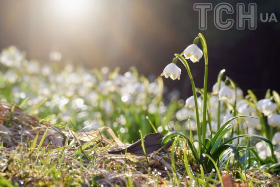 До України йде потепління: подробиці прогнозу погоди