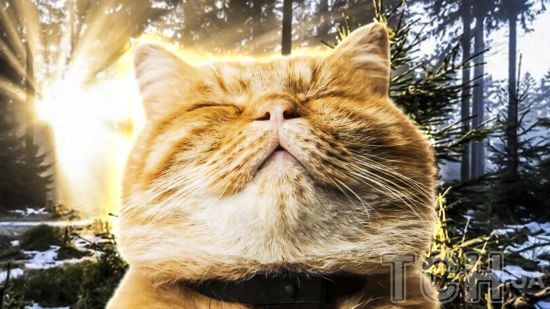 До України йде потепління: прогноз погоди на 7-10 січня