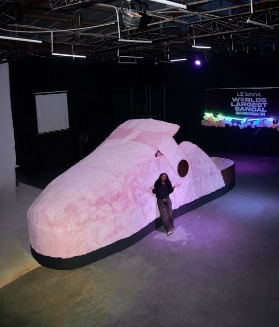 Дизайнерка створила найбільшу у світі сандалію: який вона має розмір і вигляд (фото)