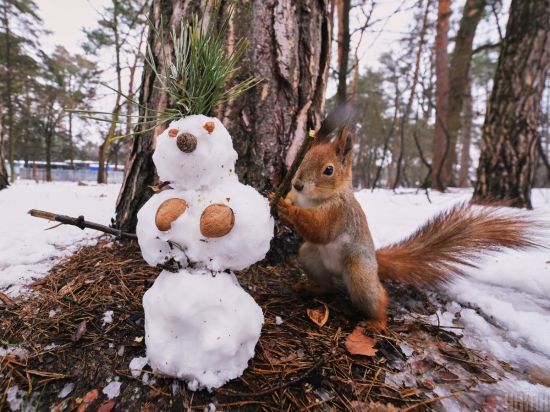 Погода буде нетиповою для середини зими: синоптикиня поділилася прогнозом