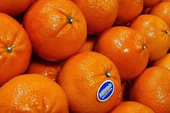 Чим потрібно залити мандаринові шкірки, щоб вийшов найкращий засіб для чищення та прибирання