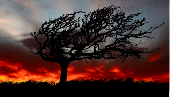 У низці областей України оголосили І рівень небезпеки