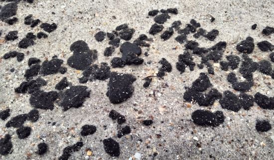 Мазут вже дістався берегів Одеської області: що відомо про катастрофу