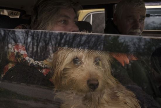 Військові закликають жителів одного з міст негайно евакуюватись: деталі