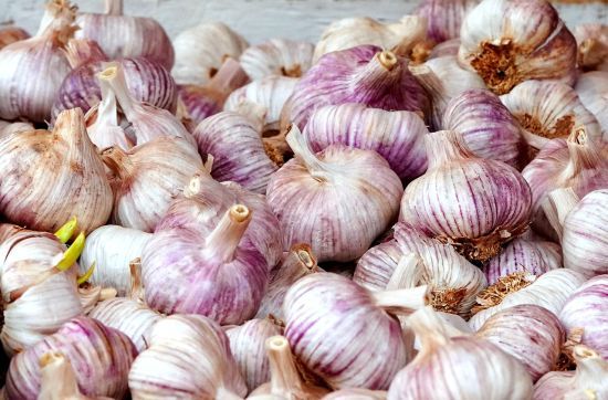 В Україні ціни на один з овочів досягли історичного максимуму