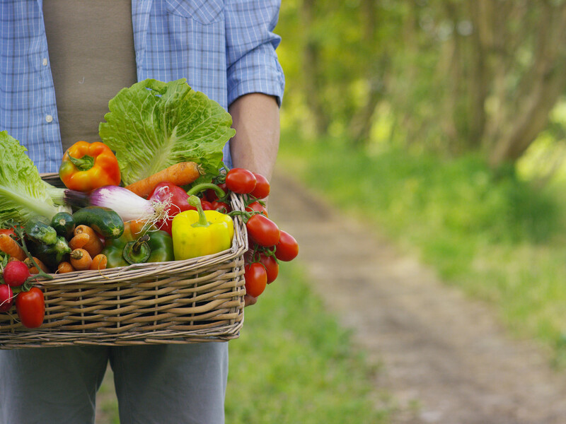 Шість городніх культур, які гарантують рясний збір плодів і овочів