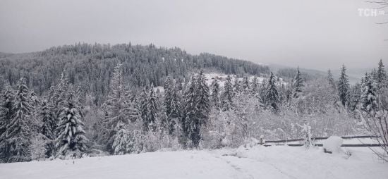 Це люди, які не втекли з країни: бойовий медик відреагував на критику через відпочинок у горах