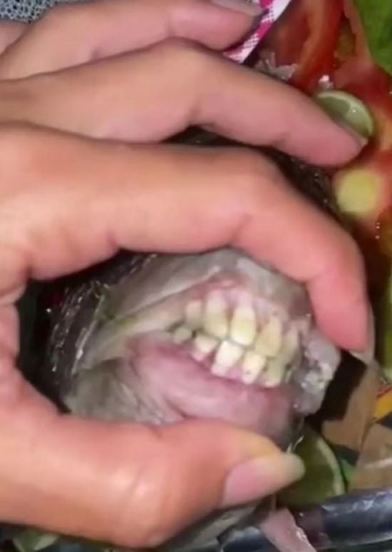Жінка приготувала рибу з повним ротом "людських зубів" – фото