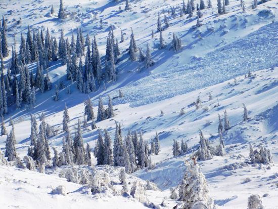 Різке погіршення погоди на заході України: рятувальники повідомили про небезпеку в Карпатах
