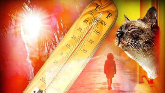 Весна вже на порозі: погода в Україні шокує аномальним теплом