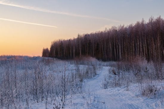 Прогноз погоди для України погіршився: у яких регіонах буде найхолодніше протягом тижня