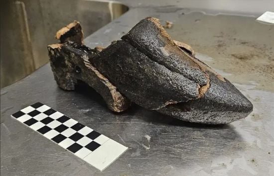 У вигрібній ямі, якою користувались 600 років тому, знайшли унікальні предмети