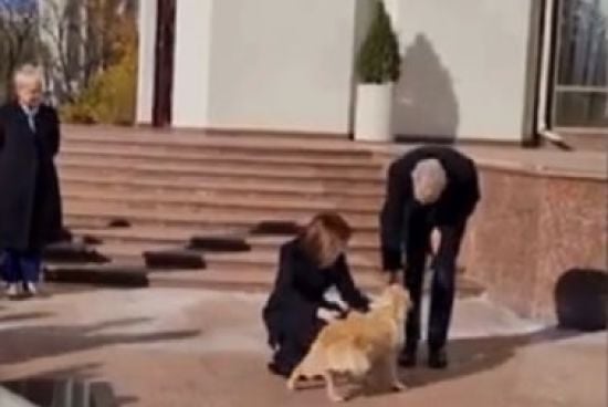 Зниклий "перший собака" Молдови повернувся додому: подробиці новорічної події