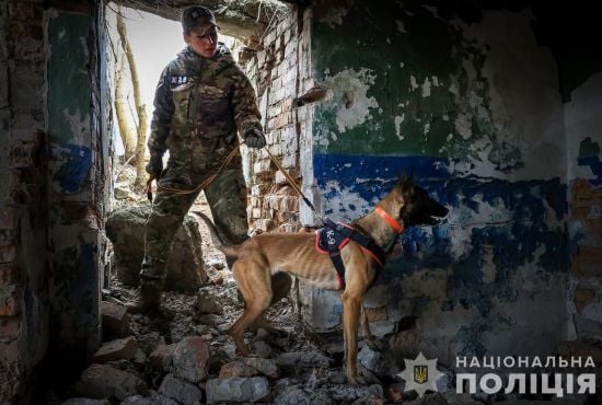 Вони рятують: у МВС розповіли, як тварини допомагають після обстрілів знаходити людей (фото)