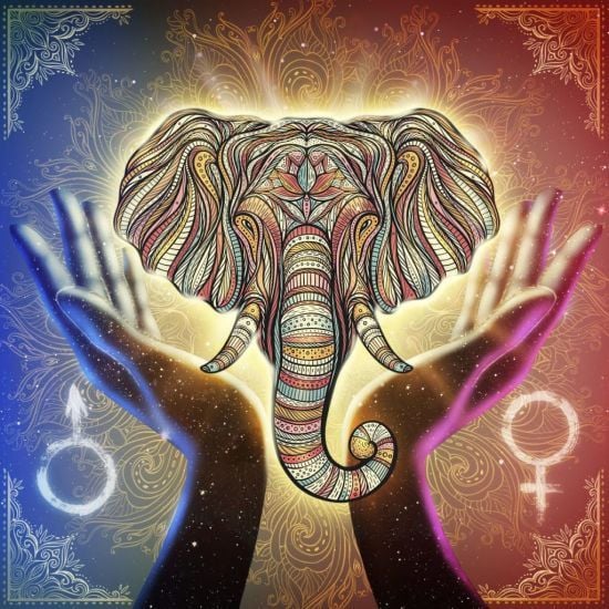 Дізнайтеся, яка ваша тварина талісман за датою народження: зробити це просто