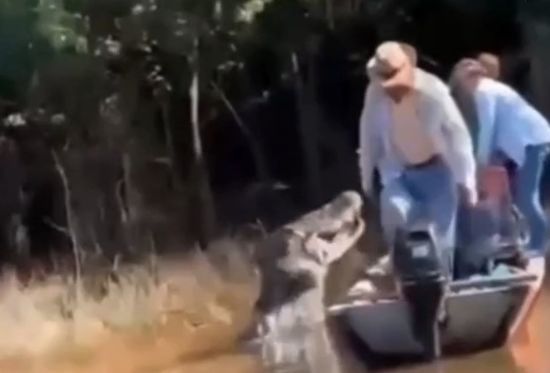 Жахливий момент: гігантський крокодил кинувся на човен із туристами (фото)