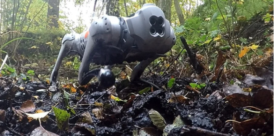 Вчені створили роботів із "копитами лося": прорив у техніці для складних місцевостей