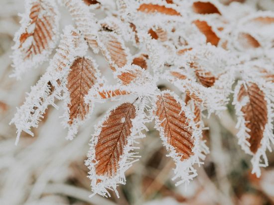 В Україні різко зміниться погода: коли закінчаться морози і на що чекати у березні
