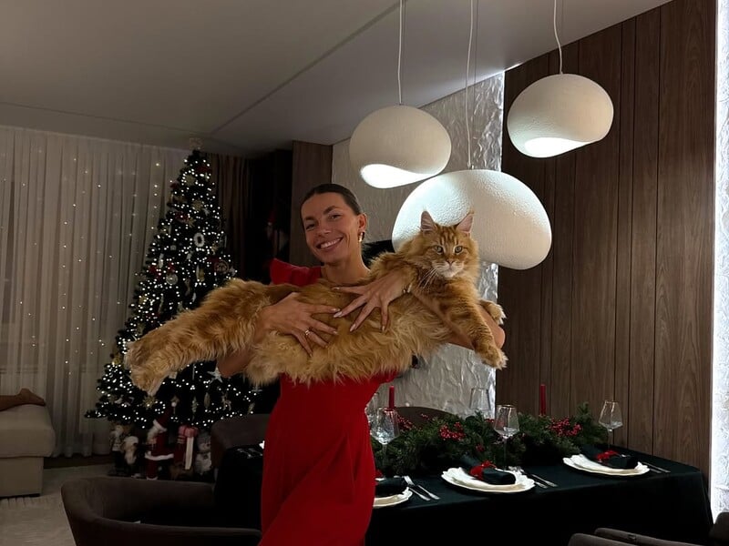 Бех-Романчук показала інтер'єр свого будинку