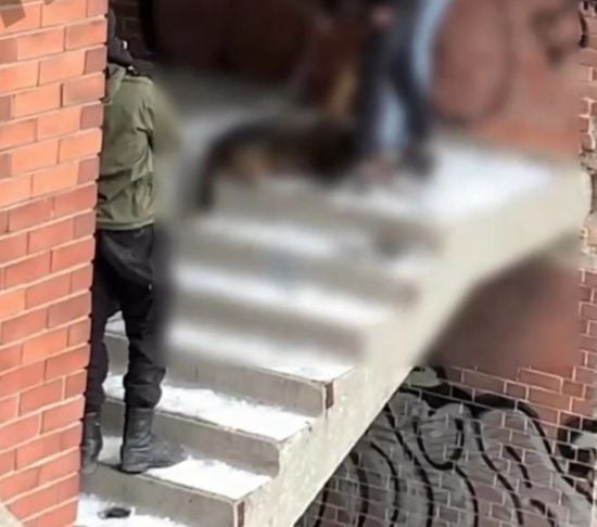 Малолітні шкуродери: у Запоріжжі троє підлітків закатували собаку до смерті та намагалися сфотографуватися з його трупом