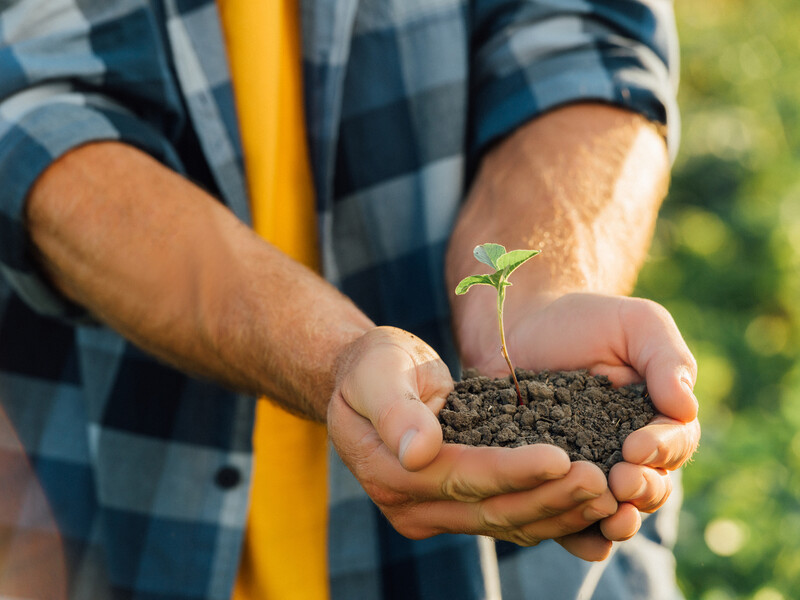 "Коріння розсади може згнити". Городники пояснили, як підготувати ґрунт для розсади "Коріння розсади може згнити". Городники пояснили, як підготувати ґрунт для розсади