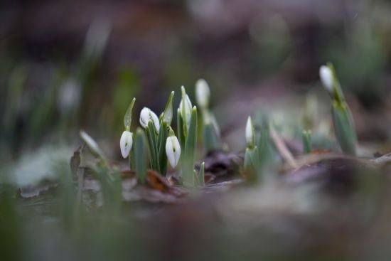 Погода на понеділок, 3 лютого: в яких областях очікується значне похолодання