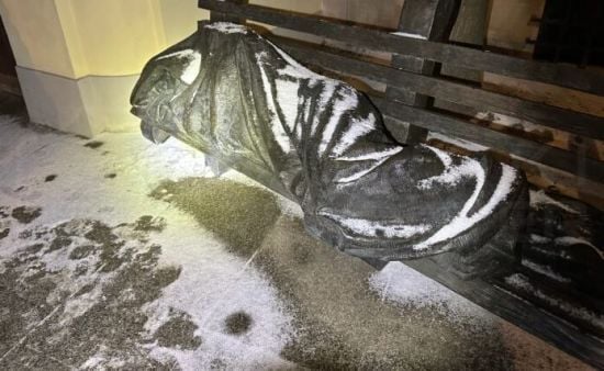 Медики і копи приїхали на виклик та реготали, коли виявили, кого треба рятувати – фото