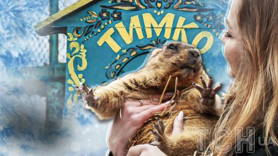 Україну накриють морози і "брудна" хмара: бабак зробив шокувальний прогноз Україну накриють морози і "брудна" хмара: бабак зробив шокувальний прогноз