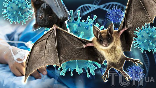 Ще одна небезпека для всього світу: у Китаї виявили новий коронавірус