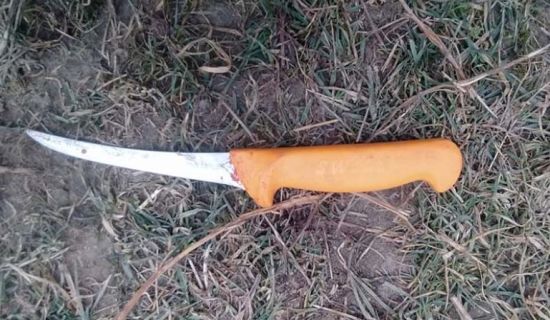 Колка свині закінчилась смертю чоловіка: подробиці моторошної на Тернопільщині