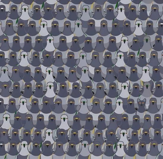 Перевірте себе: лише 1% людей може знайти на картинці кота за 7 секунд