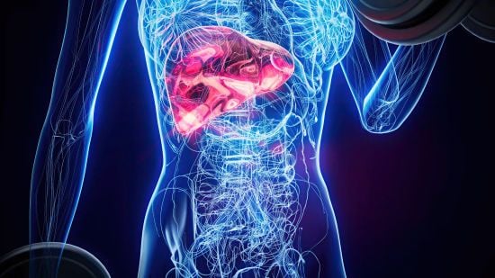 Названо найпопулярніший напій, який відновлює здоров’я печінки: рятує від цирозу й ожиріння