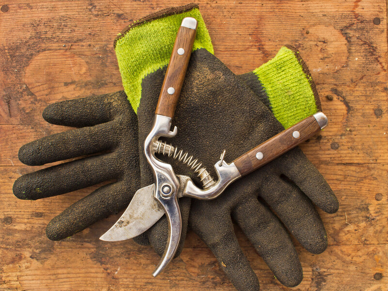 Проведіть лезом по точильному каменю або шкіряному ременю. Як правильно точити садовий інструмент