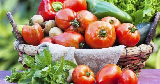 Ультраранні сорти помідорів: врожай можна збирати вже в кінці травня