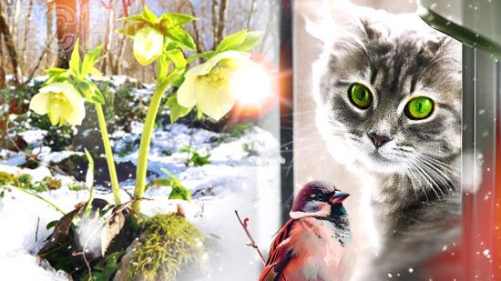 Якою буде погода в березні 2025 року: прогноз від Укргідрометцентру