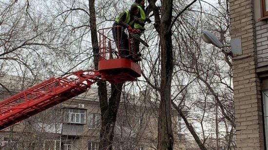 Чи можна забирати залишене комунальниками гілля на дрова: що каже про це  закон