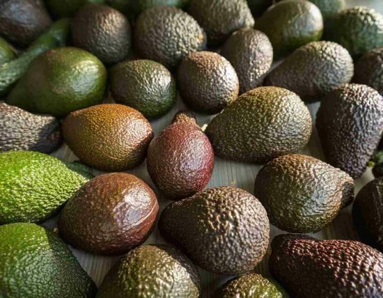 Що лікує авокадо, а за яких причин його не можна їсти