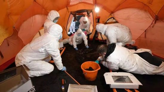 Таємницю обезголовленого тіла з ірландських боліт розкрито: вчені шокували подробицями