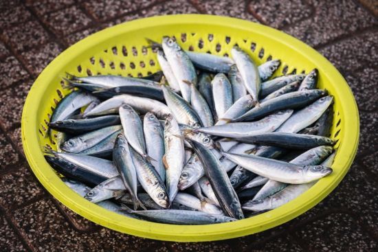 Яку рибу корисно їсти: чому японці їдять дрібноту