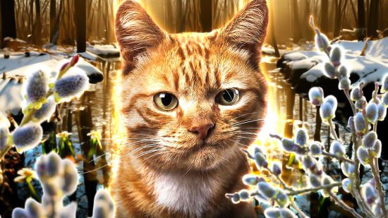 Коли потепління?: погода в Україні готує сюрпризи