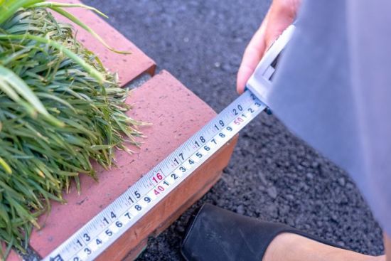 Найменший парк у світі: де розташований мініатюрний шедевр розміром із два аркуші А3 (фото)