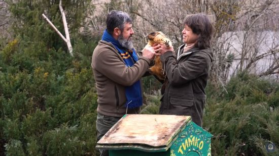 Бабак Тимко дав прогноз коли до України прийде весна