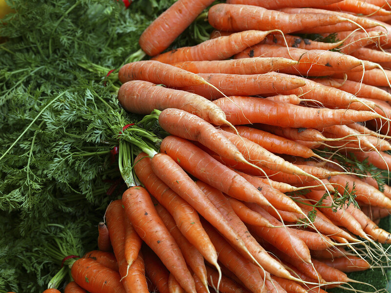 Посадіть моркву поруч із цими культурами – і вона буде дуже смачною. Названо найкращих сусідів для коренеплоду