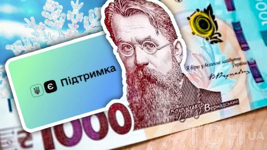 Як українці витратили кошти "Зимової єПідтримки": основні напрями