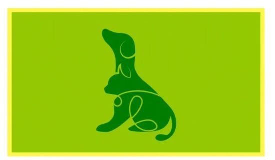 Те, що ви побачили першим на картинці, розповість про ваші приховані недоліки: психологічний тест