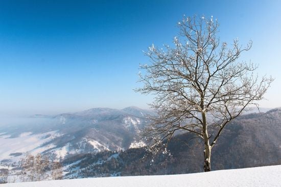 Вночі мороз, а вдень тепло: синоптики попередили про різкі перепади температури