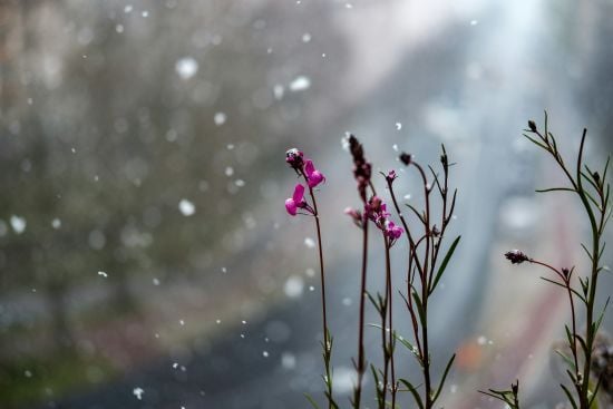 День ангела 26 лютого: кого та як вітати з іменинами