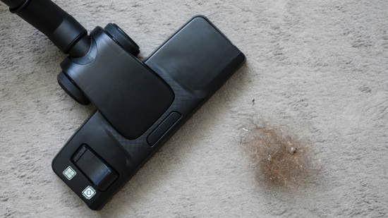 Запам'ятайте ці сім порад, щоб прибирання перетворилося у казку: як правильно пилососити